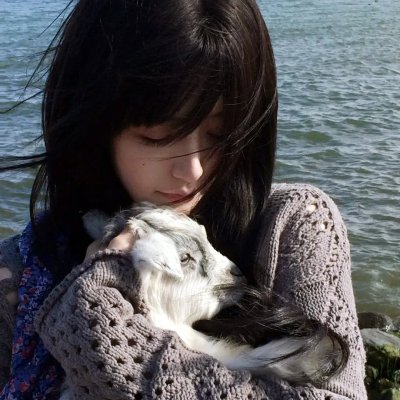 红槐花